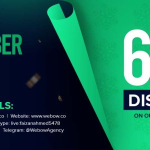 Webow BHW Discount Banner(guest post).jpg