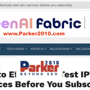 Parker2010 SEO9.png