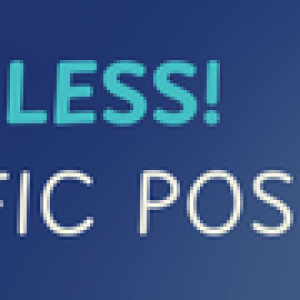 ELITE OUTREACH TRAFFIC POSTS.png