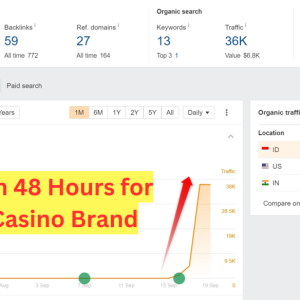 36K Traffic in 48 Hours for Indonesian Casino Brand.png