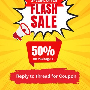 Yellow Red Modern Flash Sale Promotion Flyer.jpg