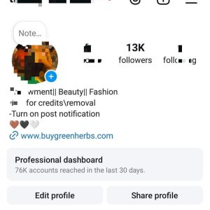12K Instagram page