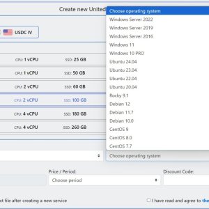 create windows vps USA.jpg