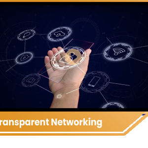 8 3D Transparent Networking  Next Hubz Limited.png