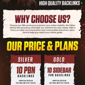 DA 30 PBN Backlinks-01 (1).jpg