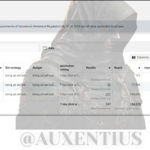 FB ads account rental service with good results