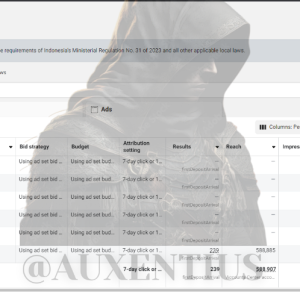 DM to rent strong & unlimited FB ads accounts