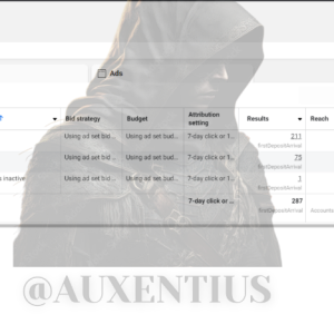 FB ads account rental service with good results