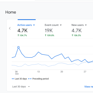 analytics 1.png