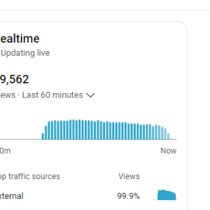 USA Youtube Live Stream Real Time Stats