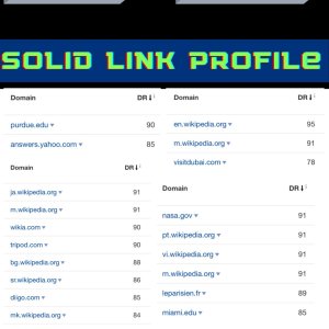 MIGHTY-PBN-Toughseo-Final-Version.jpg