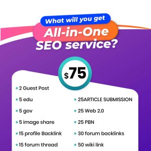 All-in-one-SEO-package-Blast-Rank-on-google-first-page-by-Powerful-Service-01.1715609993 (1) (1).jpg