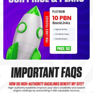 DA 30 Plus PBN Backlinks-01.jpg