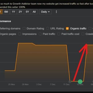 casino review.jpg