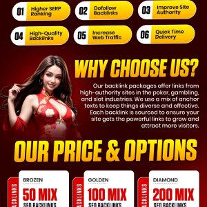 Mix SEO Backlinks-01 (1).jpg