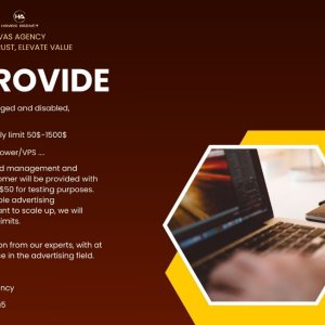 Our Services