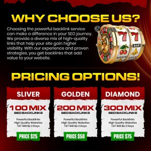High Quality Premium Mix SEO Backlinks-01.jpg