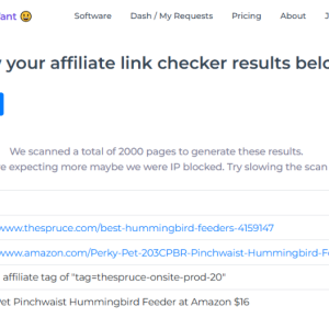 affiliate_link_checker_results.png
