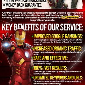 DA/DR 30+ 20 Finest PBN & 20 Sidebar PBN Backlinks