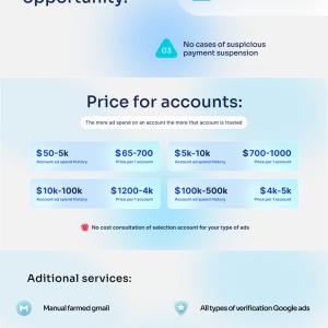 Premier Google Accounts