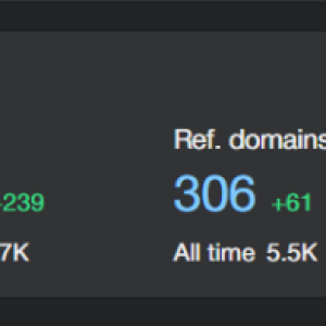 niche site.png