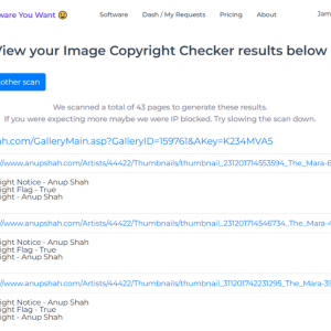 image_copyright_checker_results.png