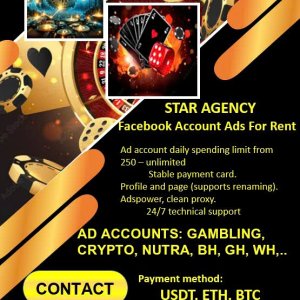 Facebook advertising account rental agency