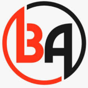 barnamaz SEO Agency logo.png