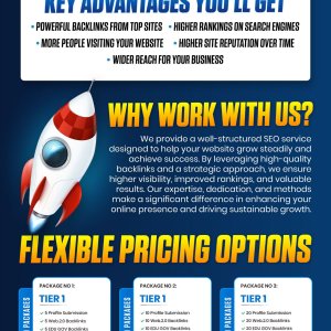 High Authority SEO Packages-01.jpg