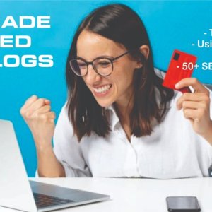 Ready-made Monetized Niche Blogs BST1.jpg