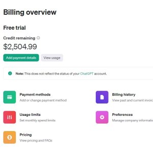 openai-credit.jpg