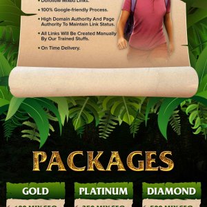 Mix SEO Backlinks-01 (1).jpg