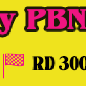 Evolutionary-PBN-Backlinks---Black-Friday-Sale.png