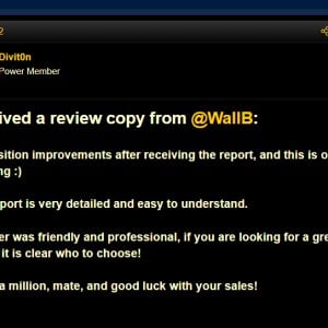 review-2-about-wallb.jpg