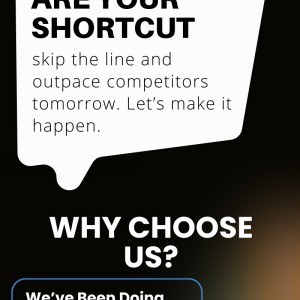 Niche Edit Service