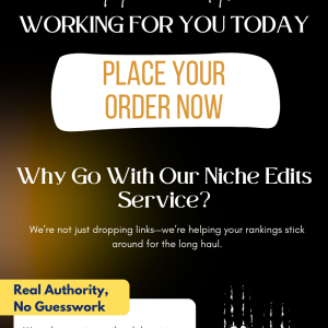 Niche Edit Service