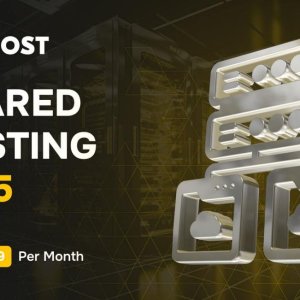 avahosting-cheap-shared-hosting.jpeg