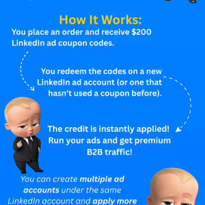 $200 LinkedIn Ads Credit for Only $19 — Perfect for B2B Marketers & Agencies!