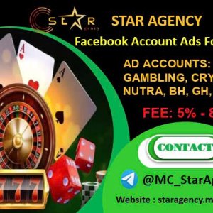 Facebook advertising account rental agency