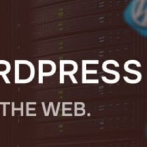 alexhost-wordpress-offshore-hosting.jpeg