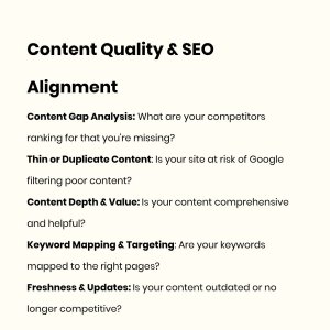 SEO Audit Service