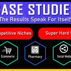 Aggressive SEO Case Studies