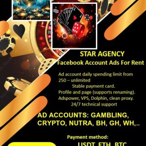Facebook advertising account rental agency