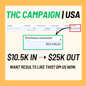 THC Case Study.png