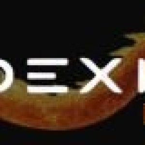 Horizontal Logo indexing fire WHITE.jpg