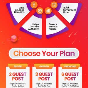 Guest posts on High Da websites traffic 15k plus ******** backlinks-01.jpg