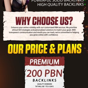 DA 30 PBN Backlinks-01-01 (2).jpg