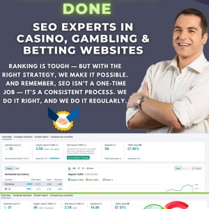 website ranking.jpg