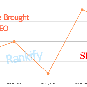 Rankify SEO SS 1.png