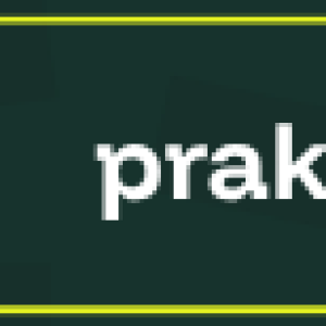 ZP Links (5)-00-03.png